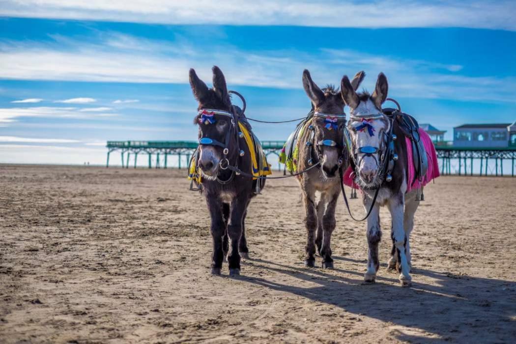 Cumbria Guest House Lytham St Annes Luaran gambar